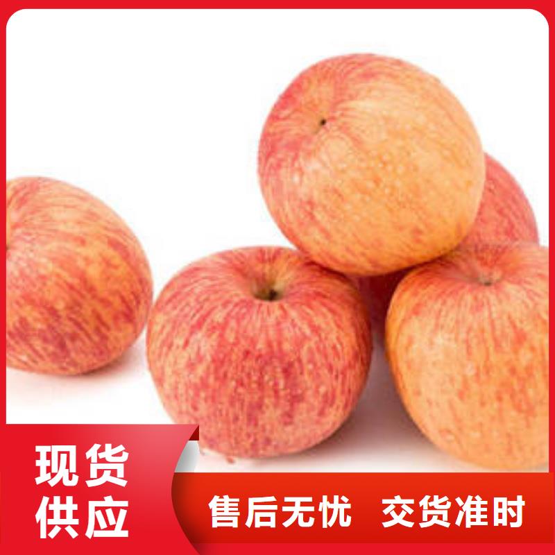 红富士苹果嘎啦苹果一站式供应厂家