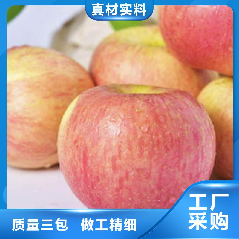 红富士苹果【嘎啦苹果】质量优价格低