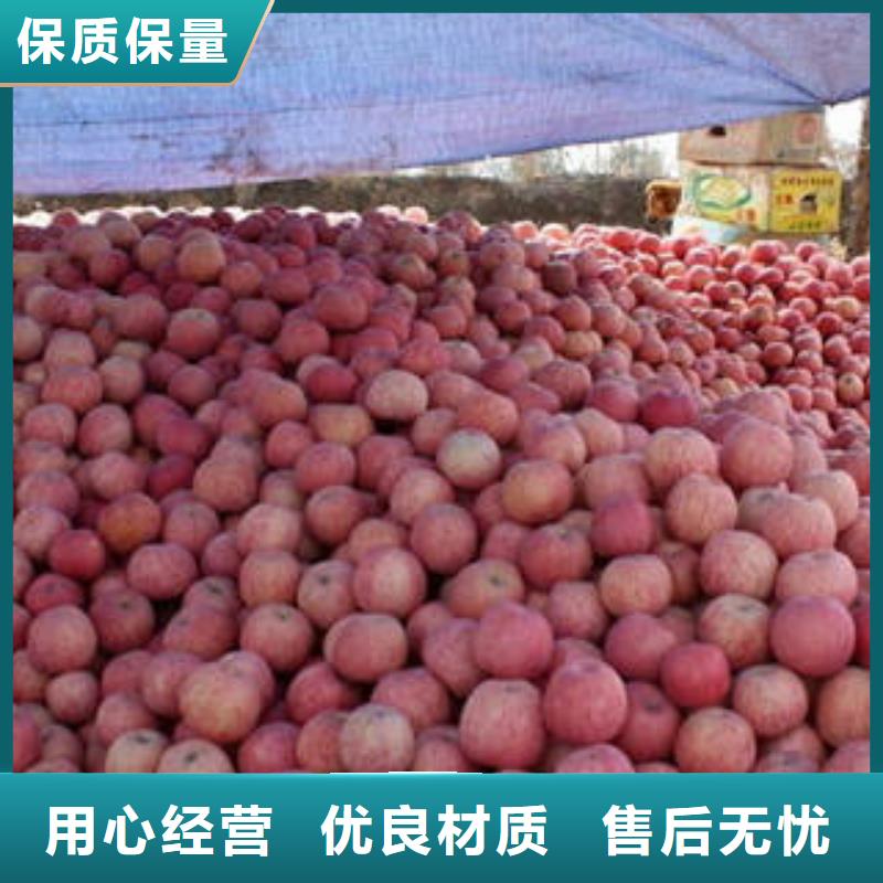 【红富士苹果】苹果批发厂家批发价