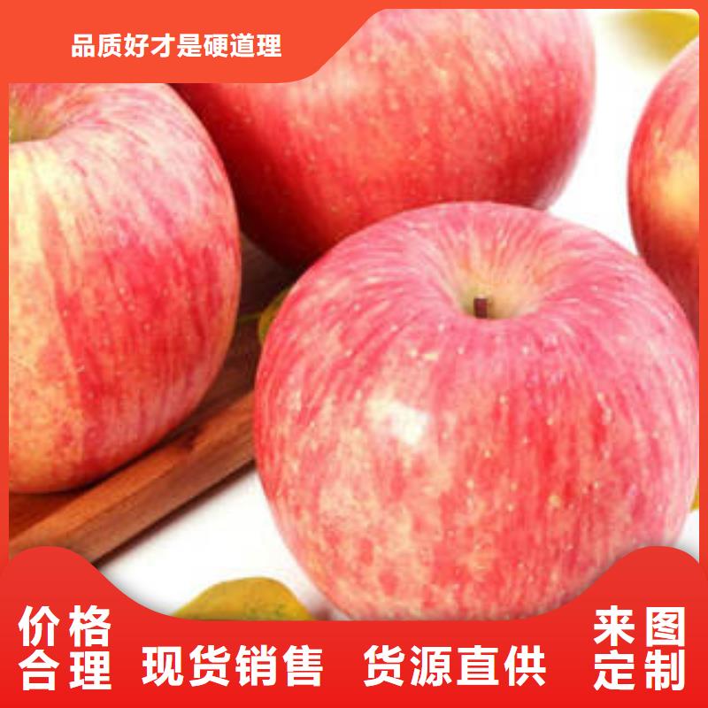 红富士苹果苹果生产经验丰富
