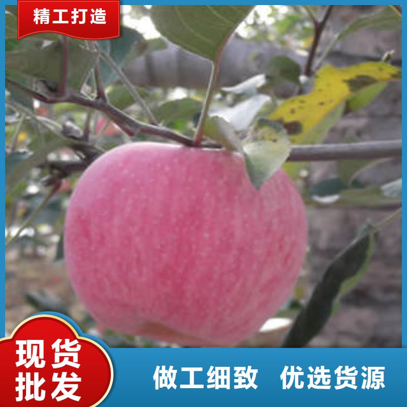 紅富士蘋果品質(zhì)服務(wù)