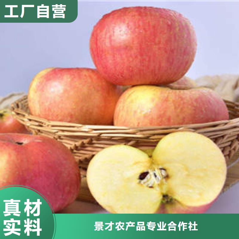 紅富士蘋果廠家直發(fā)