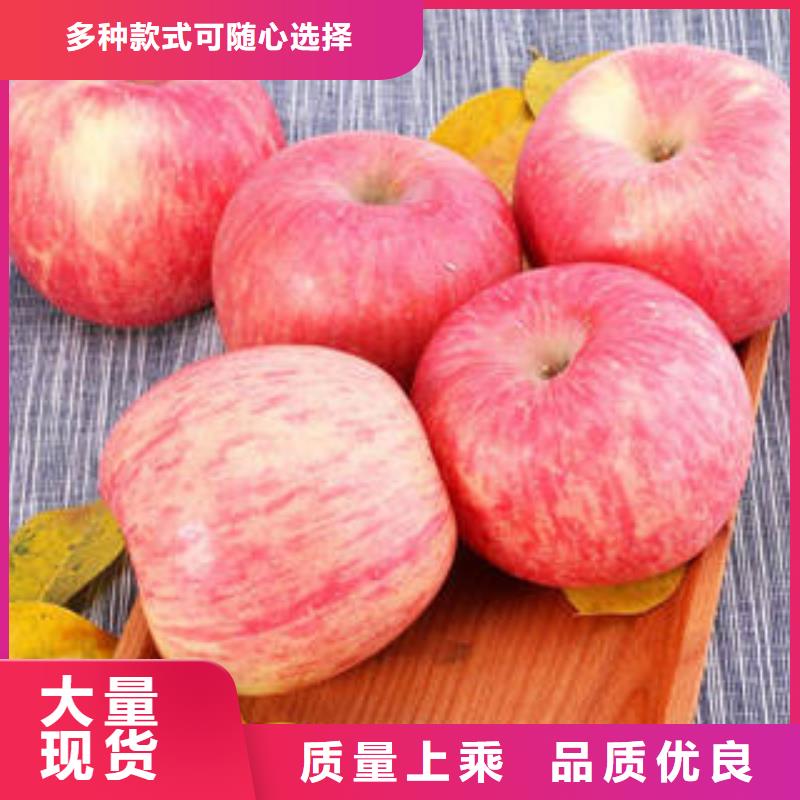 【红富士苹果】红富士苹果产地一件也发货