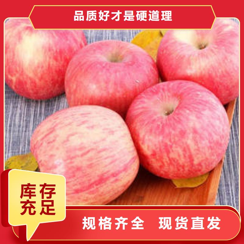 红富士苹果苹果批发保质保量