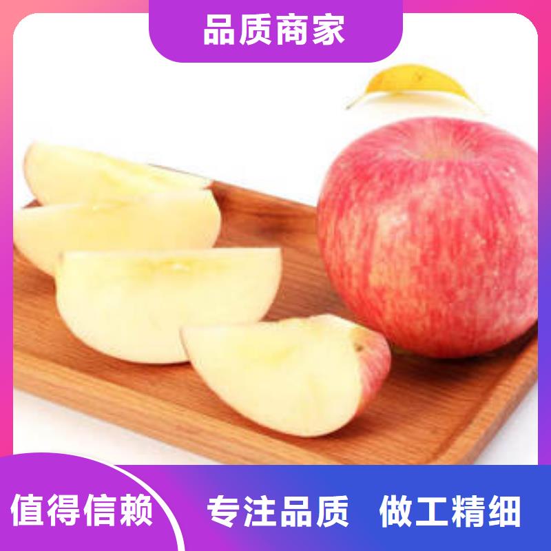 【红富士苹果】苹果种植基地快速物流发货
