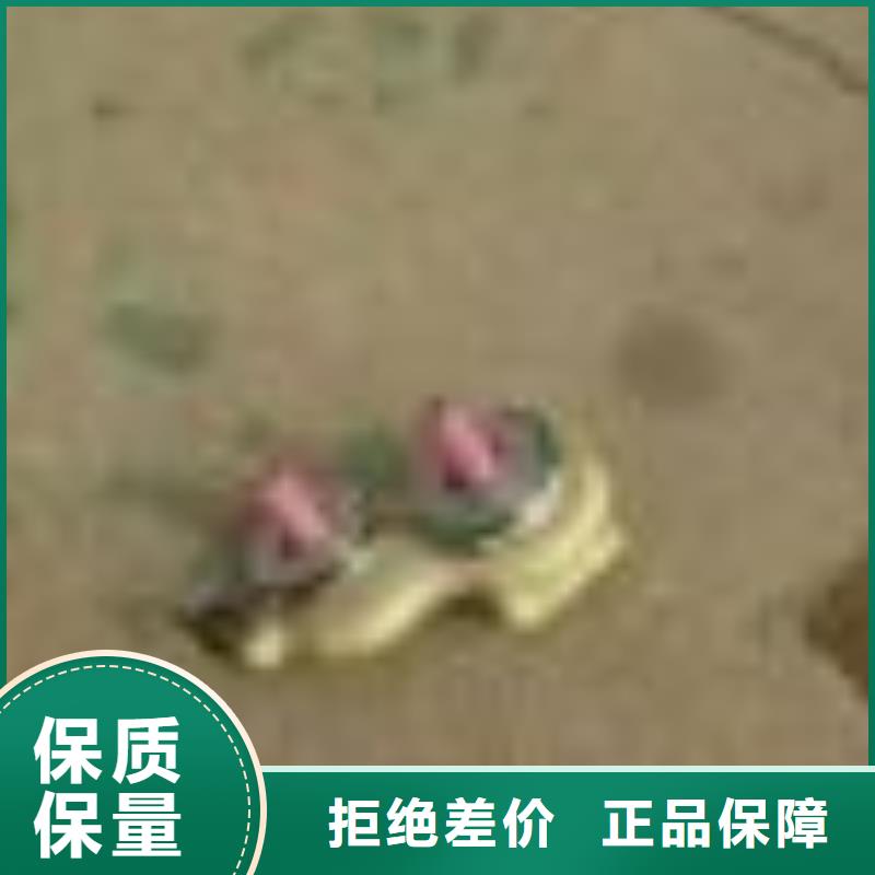 尼龍齒輪膠木齒輪按需制作