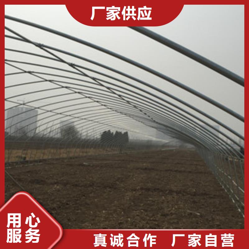 大棚管H型鋼實時報價
