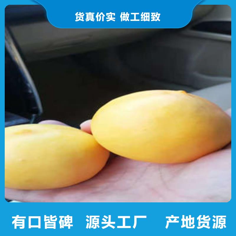 桃樹(shù)苗梨樹(shù)苗工藝精細(xì)質(zhì)保長(zhǎng)久
