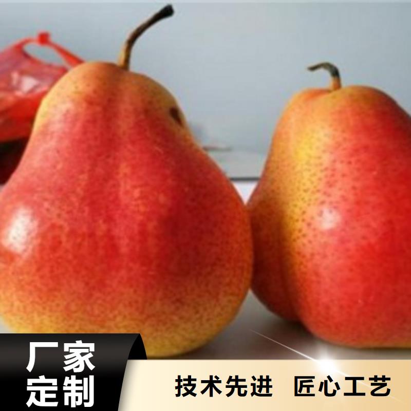 梨樹苗拒絕偽劣產品