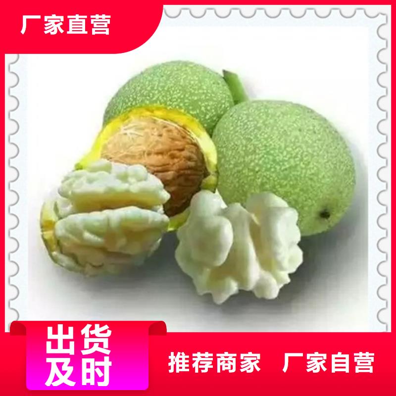 【核桃苗,桃樹苗優質原料】