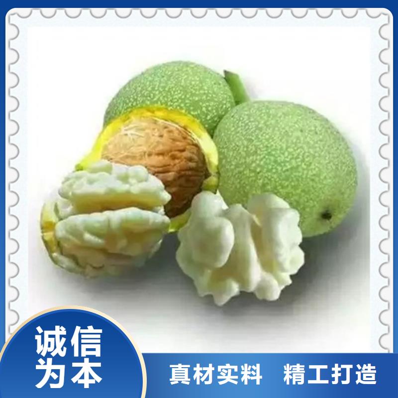 核桃苗蓝莓苗专业生产品质保证
