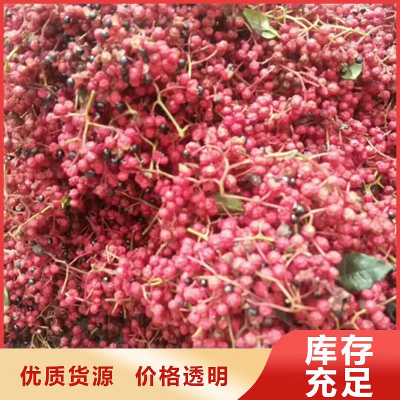 花椒苗核桃苗安心購