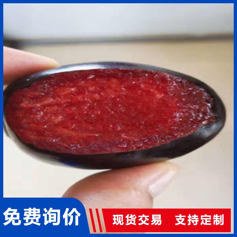 李子苗板栗苗品质保障售后无忧