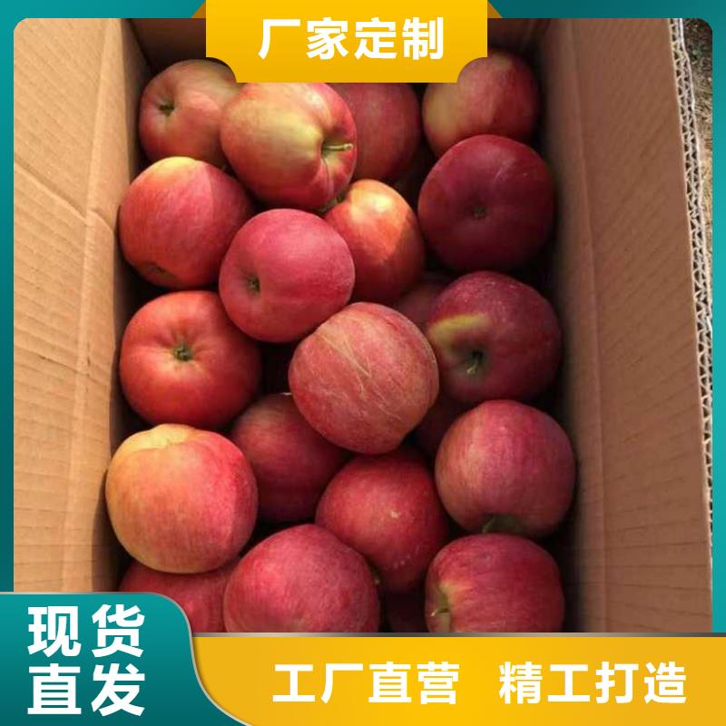 蘋果苗-葡萄苗專業(yè)廠家