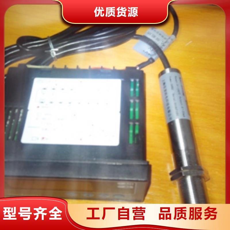 IRTP300L-吹掃裝置海量貨源