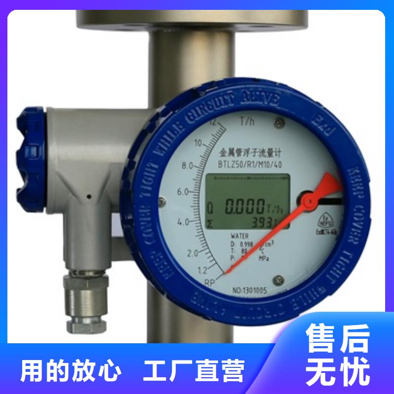 內襯PTFE金屬轉子流量計吹掃裝置規格齊全實力廠家