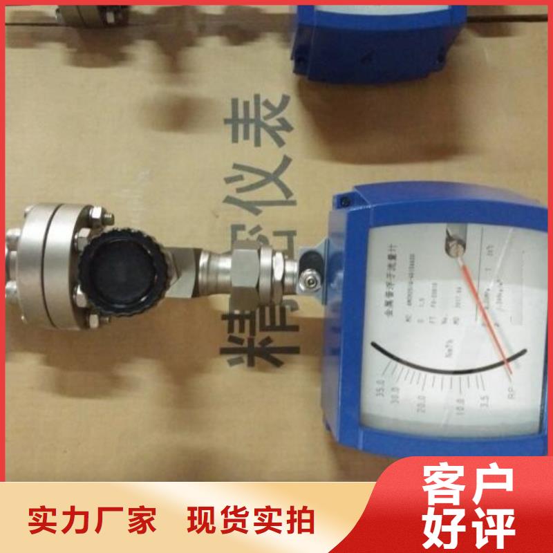 吹掃裝置,金屬轉子流量計N年專注
