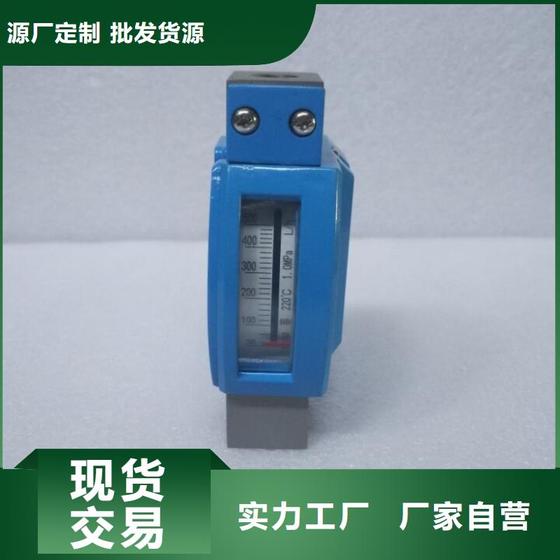 微小流量計IRTP300L紅外測溫傳感器源頭廠家經(jīng)驗豐富