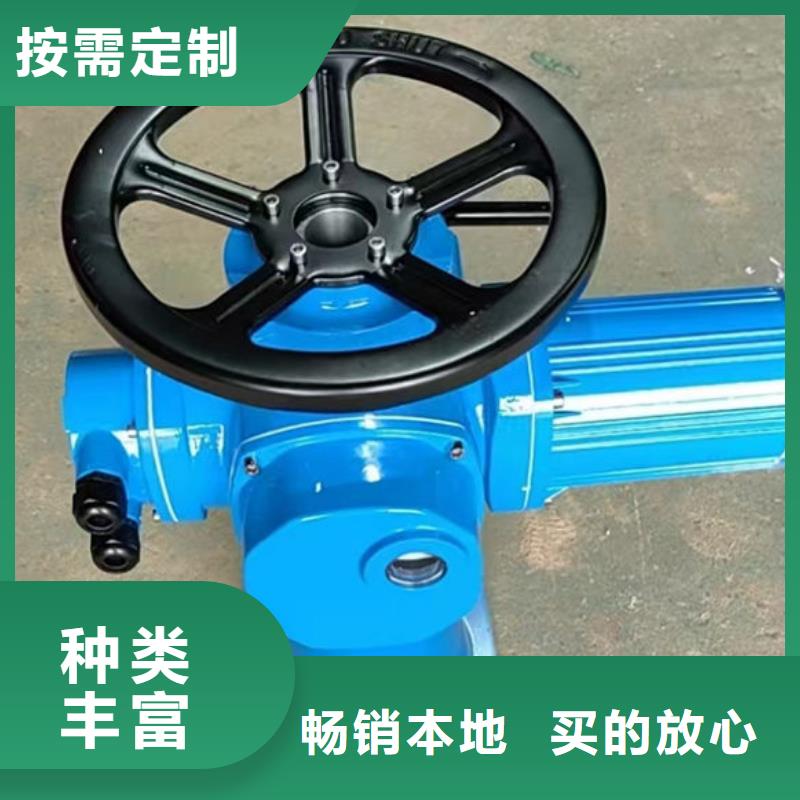 螺桿式啟閉機QDA電裝啟閉機價格實在