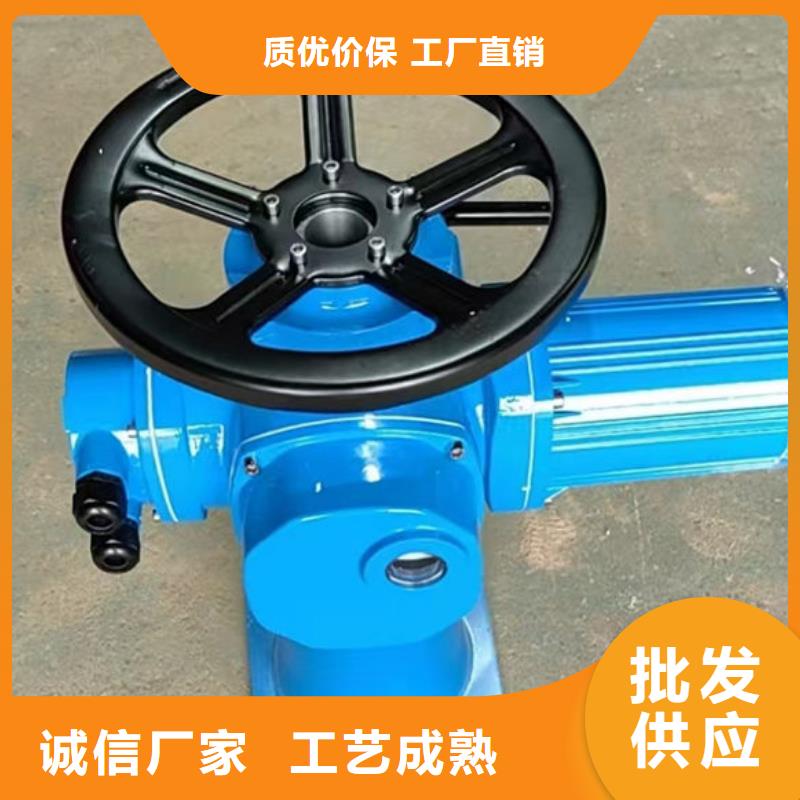 螺桿式啟閉機電動頭啟閉機嚴選材質(zhì)