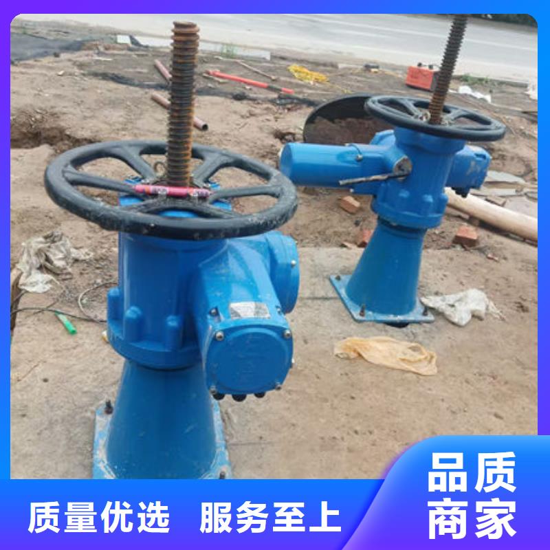 螺桿式啟閉機QDA電裝啟閉機質量看得見