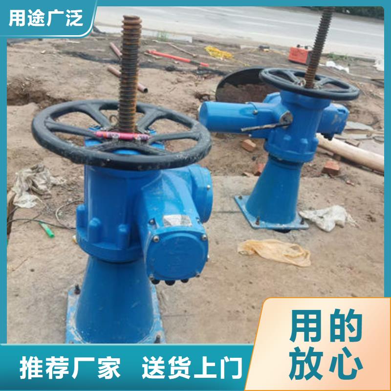 螺桿式啟閉機手電兩用啟閉機專業生產團隊
