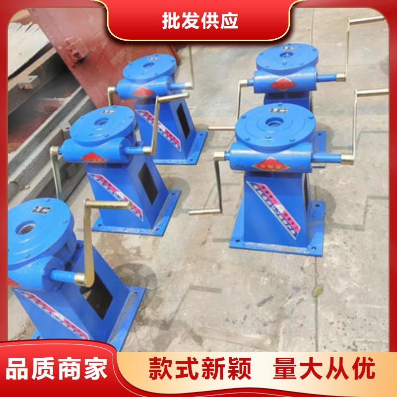 螺桿式啟閉機平推啟閉機實力見證