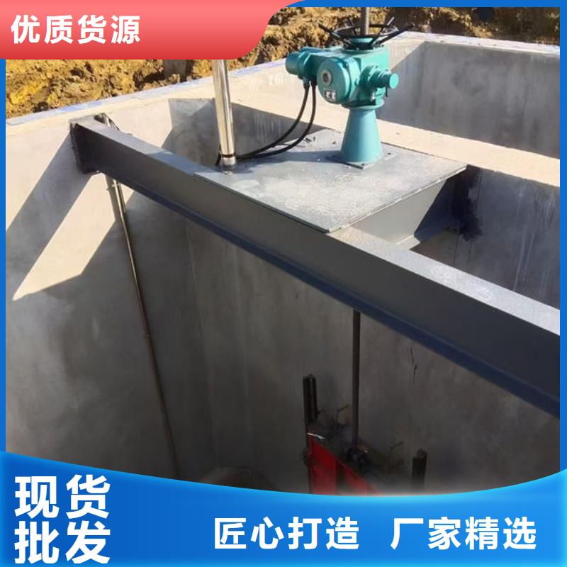 螺桿式啟閉機平推啟閉機實力見證