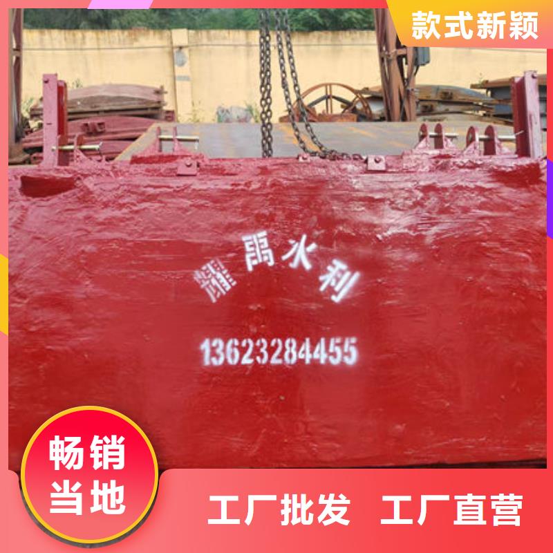 鑄鐵閘門_復(fù)合閘門多年實(shí)力廠家