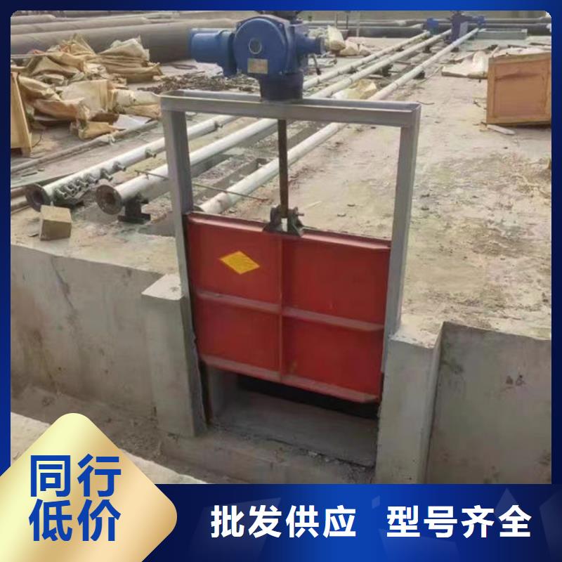 鑄鐵閘門泵站鑄鐵閘門多種工藝