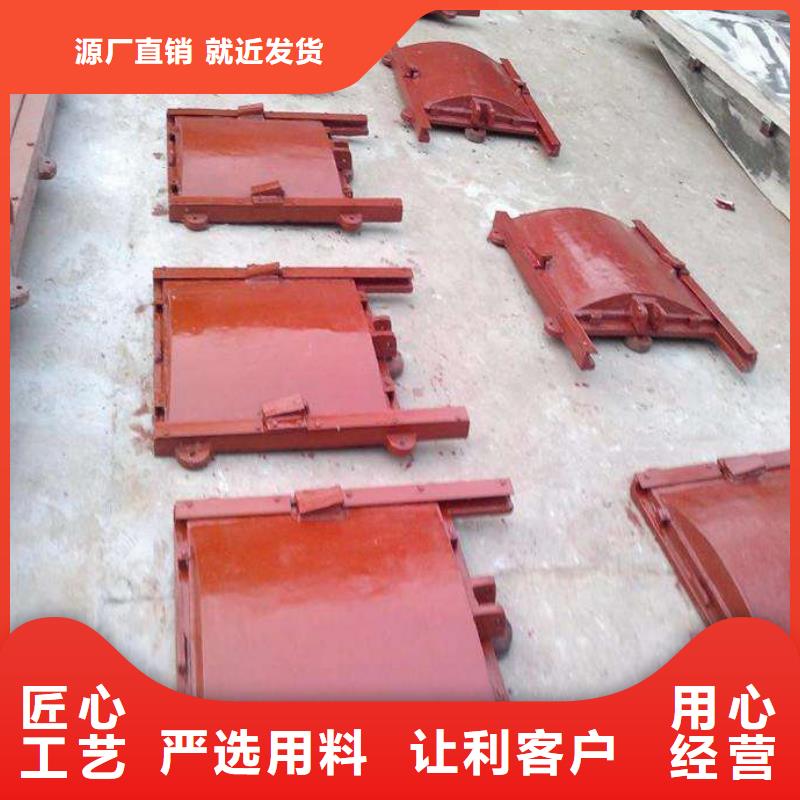 铸铁镶铜闸门安装图片订制