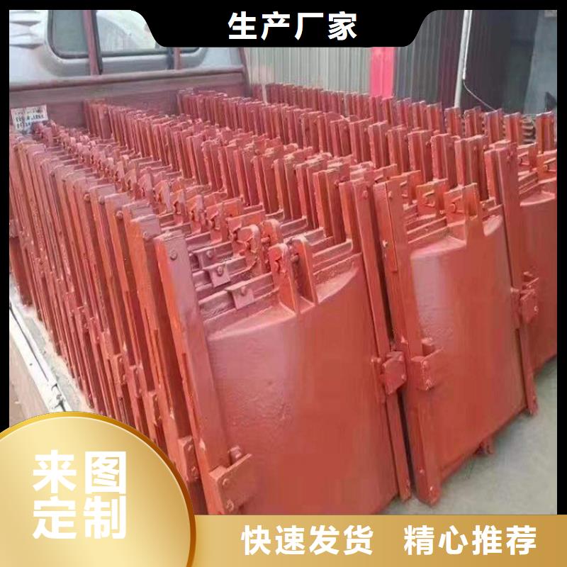鑄鐵閘門_復合閘門多年實力廠家