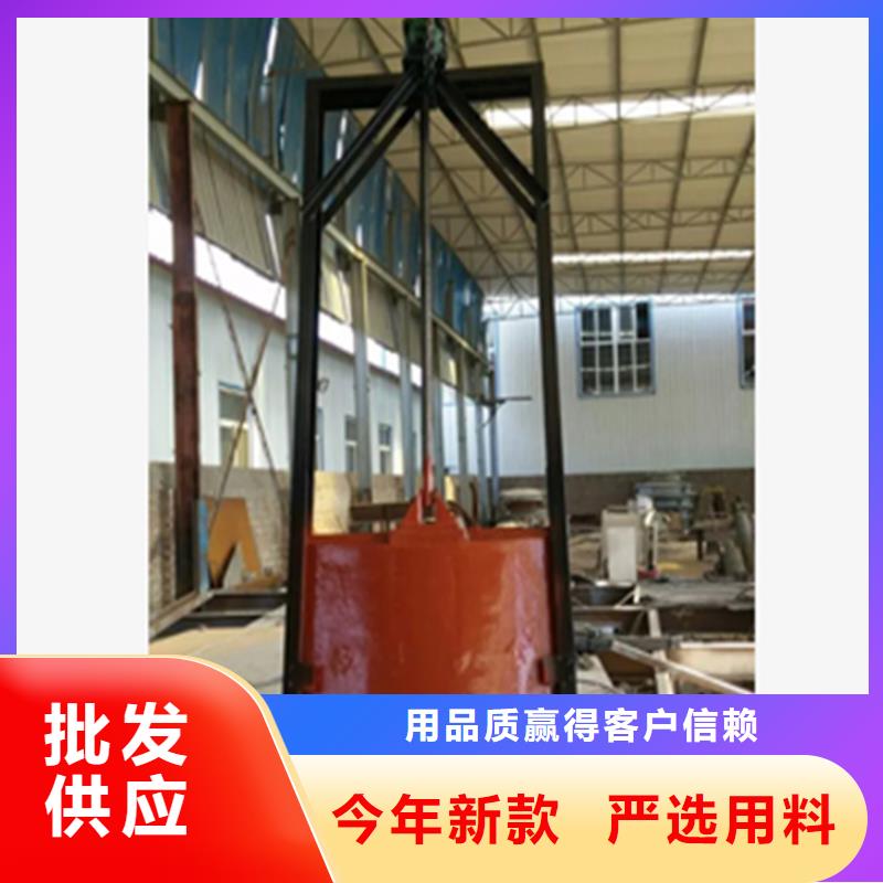 鑄鐵閘門_復合閘門多年實力廠家