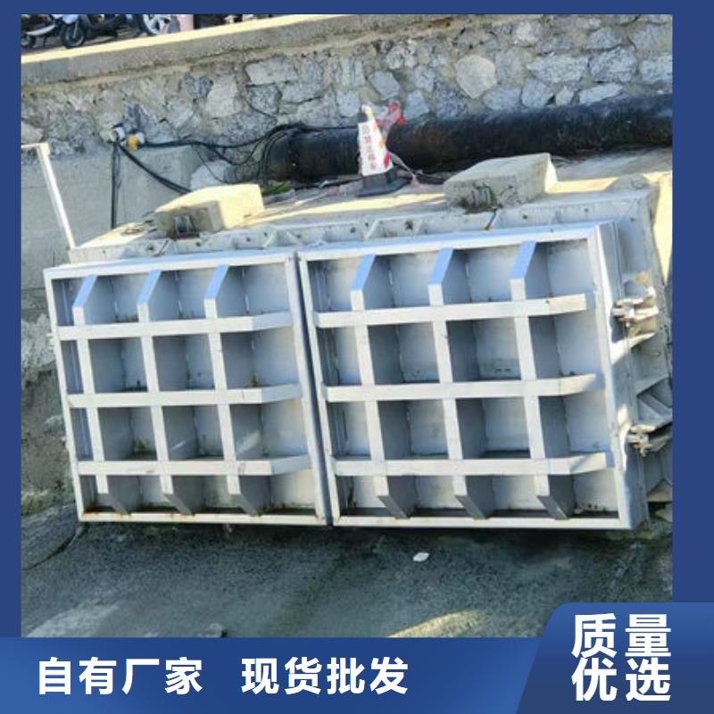 拍門復合材料拍門廠家