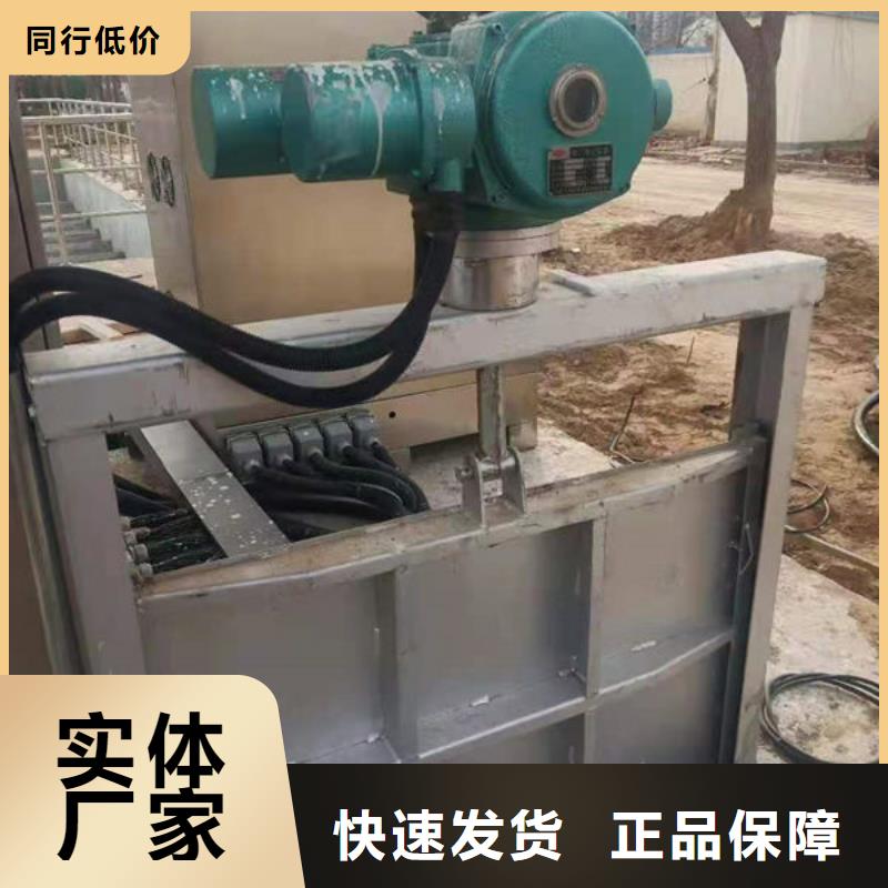 不銹鋼閘門電動一體式不銹鋼閘門產地直供