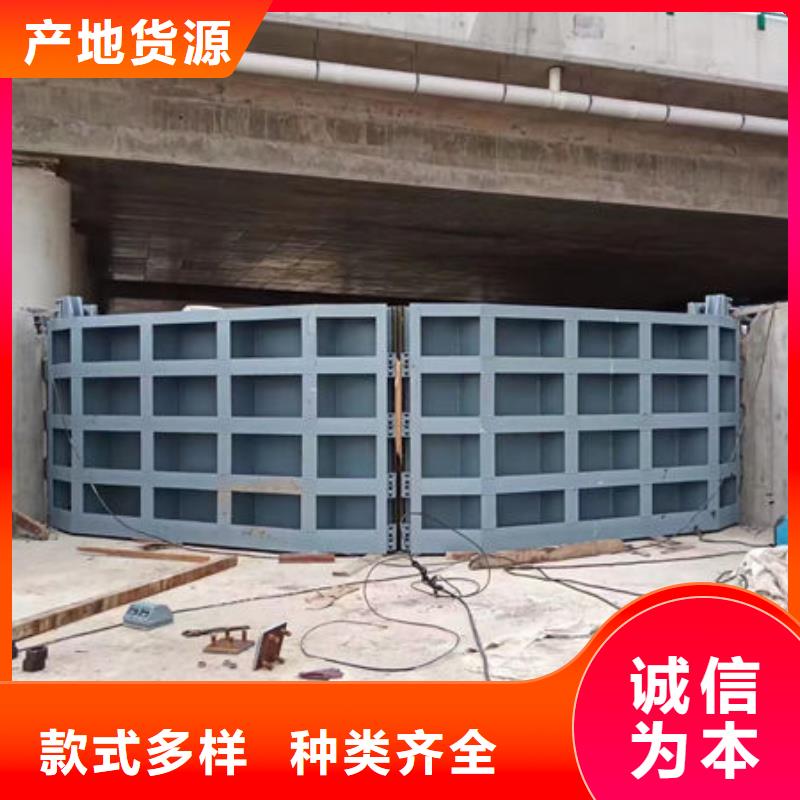 不銹鋼閘門平面鋼閘門用心服務