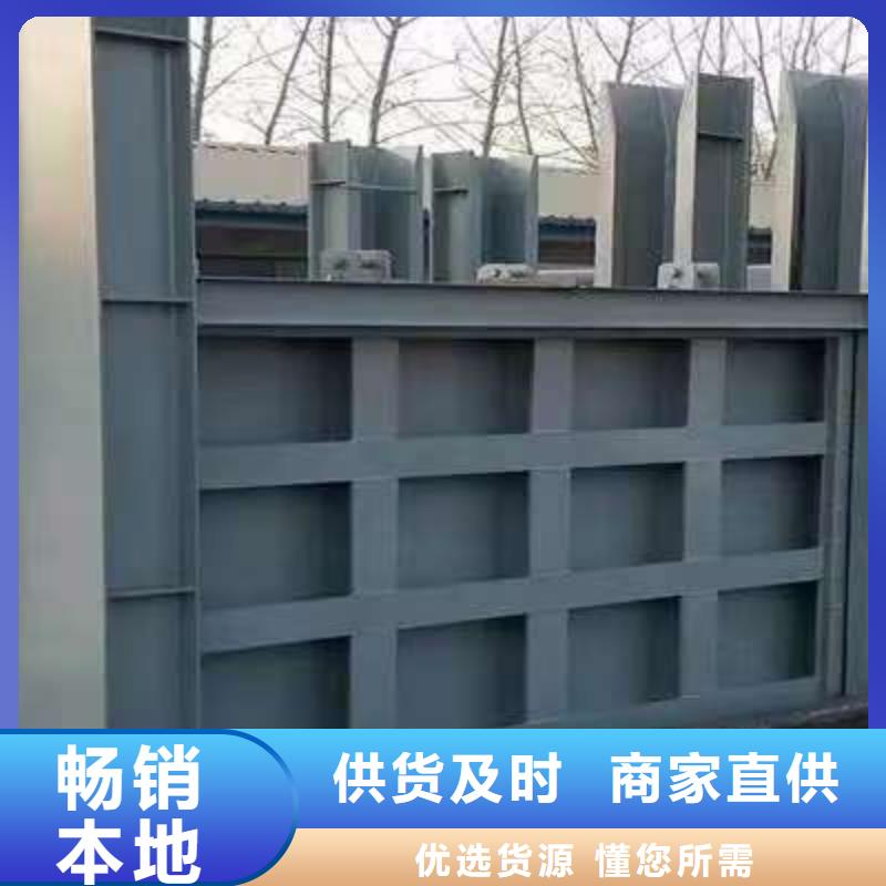 不銹鋼閘門平面定輪鋼制閘門實力優品