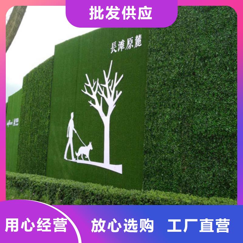 围挡草坪-人造草坪围挡源头厂家直销