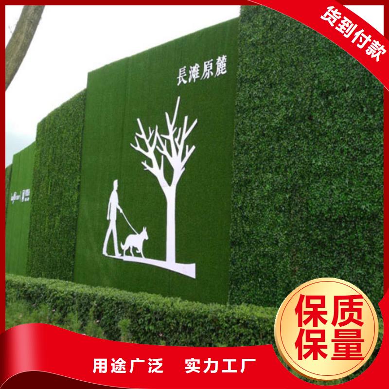 围挡草坪工地人造草坪围挡工厂直销