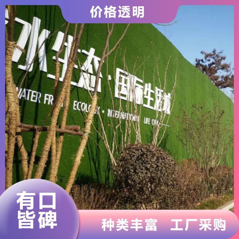 围挡草坪工地人造草坪围挡订制批发