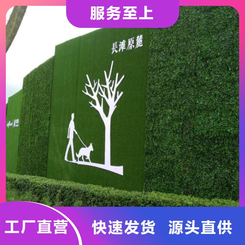 草坪围挡人造草坪围挡厂家现货供应