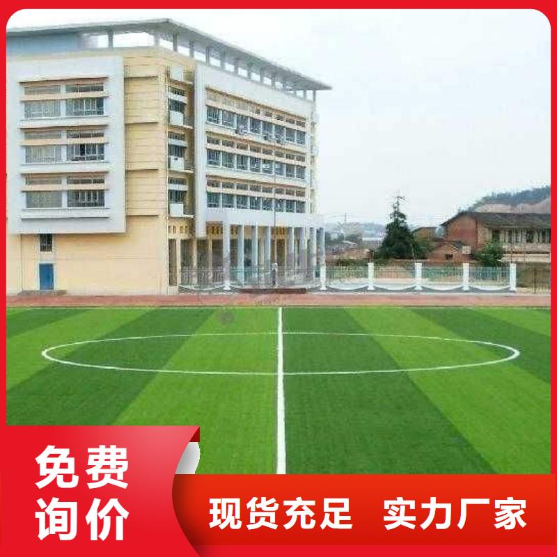 塑膠球場價格低支持定制