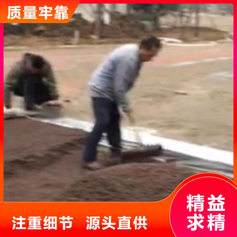 透水彩色混凝土压花地坪N年专注