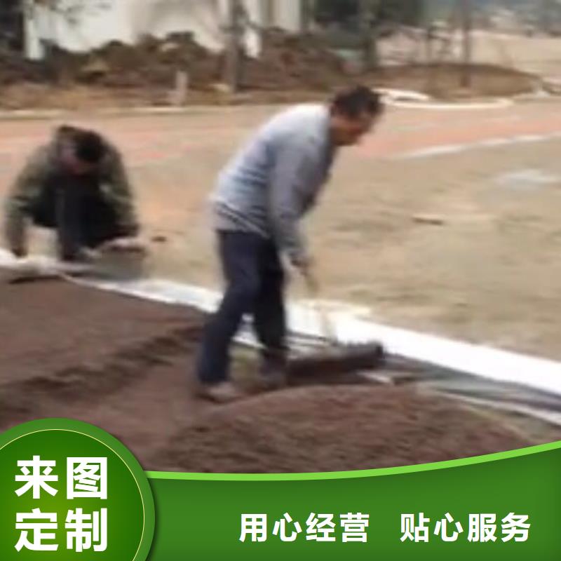 透水_彩色壓模地面根據要求定制