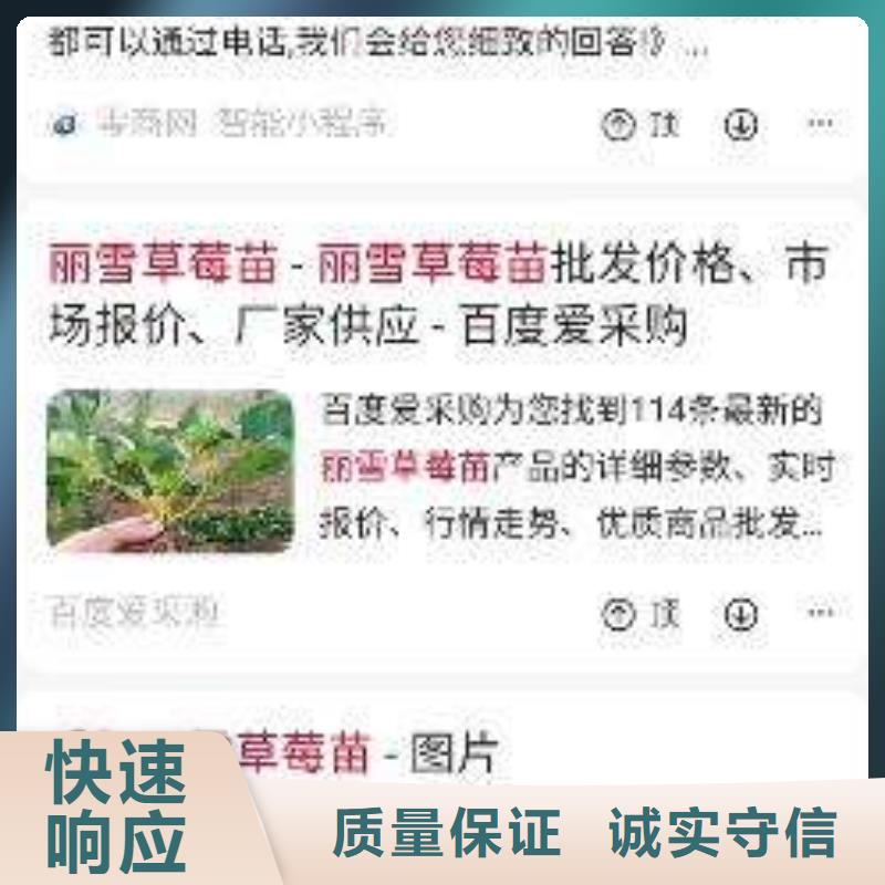 手机百度网络代运营遵守合同