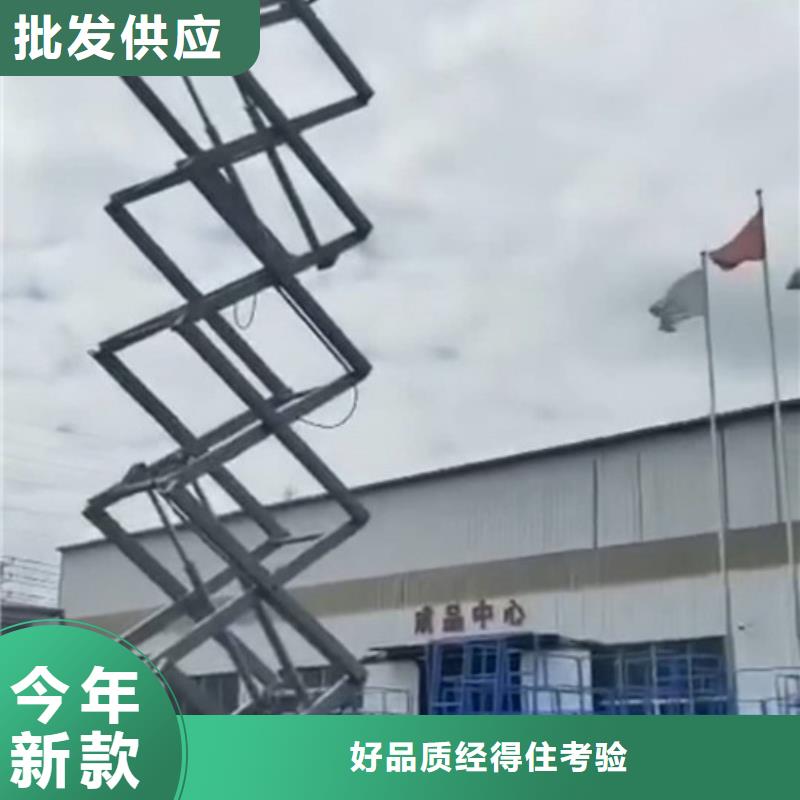 高空作业平台【仓储厂房货梯】大厂家实力看得见