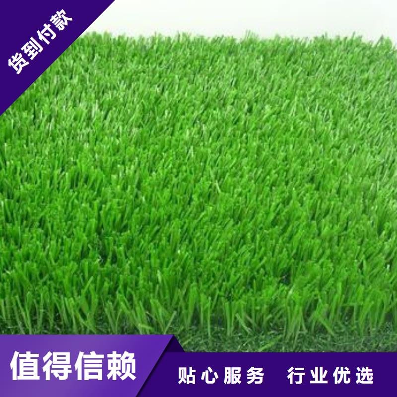 人造草坪籃球場施工品質好才是硬道理