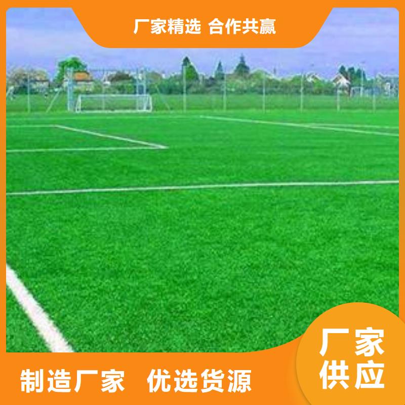 人造草坪橡膠跑道來圖定制