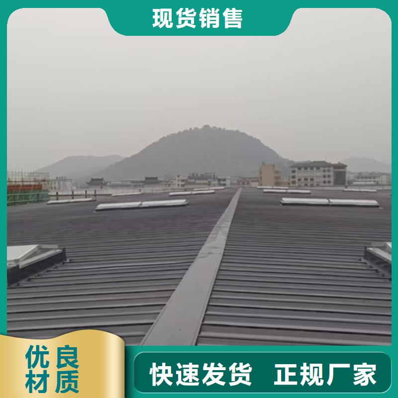 10型薄型通風(fēng)天窗廠商