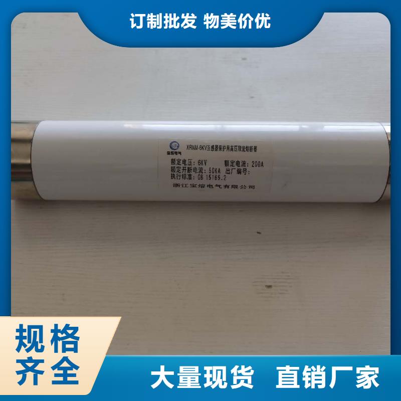 高压熔断器-XRNP-10KV高压限流熔断器定制不额外收费